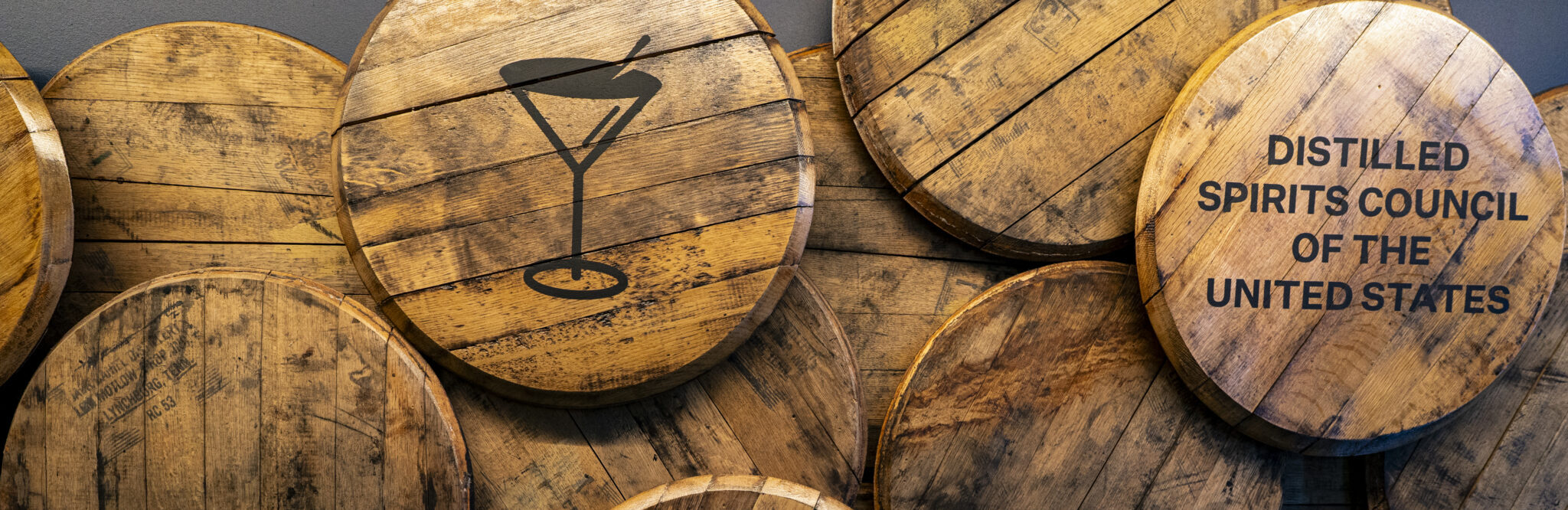 DISCUS_185_DCconference2025